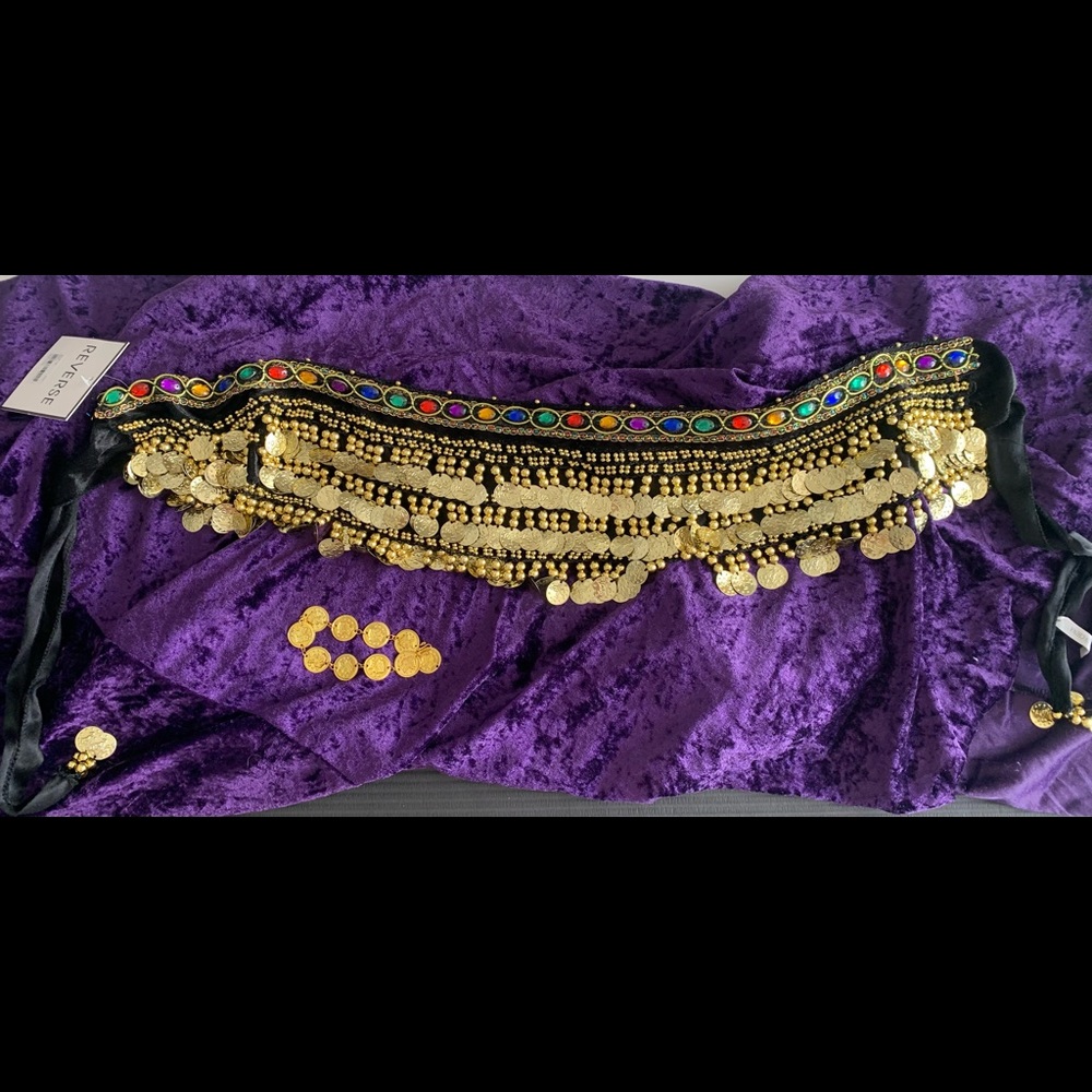Belly dancer belt costume Halloween